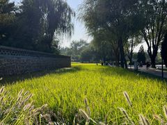 -北坞公园