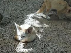 -昆明动物园