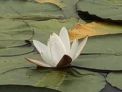 -桃源居(蠡园店)