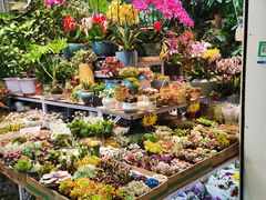 -三旗百汇商品城