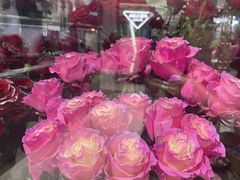 -ROSEONLY诺誓(广州K11店)