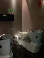 -史云逊养发护发