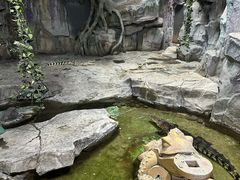 -泉城欧乐堡海洋极地世界