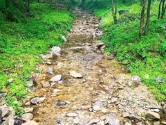 -参仙谷生态旅游度假区