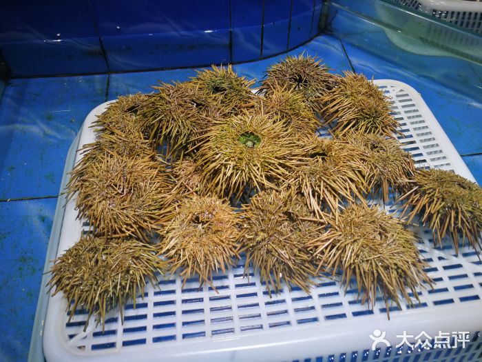 海天一色海景自助餐厅(西港花园店)图片