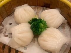 水晶鲜虾饺-香港新曜记茶餐厅(星耀城店)