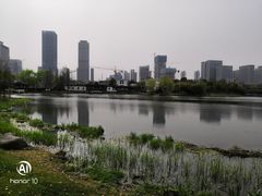-尚贤河湿地