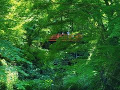 -三千院