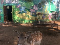 -鄂尔多斯野生动物园