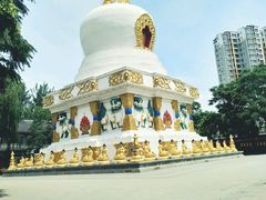 -护国法轮寺