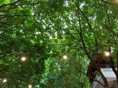 -无影脚佛山陈氏盲公丸始创店(飞鸿街店)