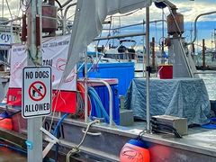 -Steveston Pizza Company (Richmond)