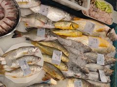 -魚當家