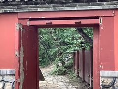 -阳台山自然风景区