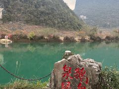 -靖西鹅泉风景区