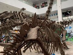 -中国地质大学逸夫博物馆