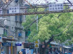-溪岸路花鸟市场