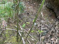 -宜昌富力皇冠假日酒店·咖啡1号西餐厅