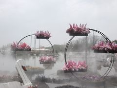 -荷兰花海
