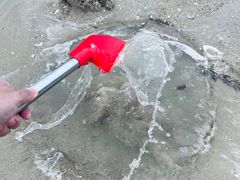 -长江澳风力发电景观区