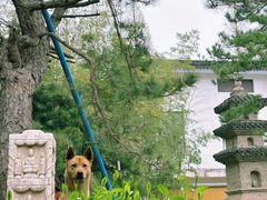 -龙华寺