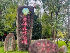 -黄海国家森林公园