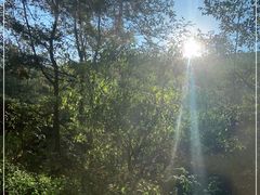 -苍山感通索道