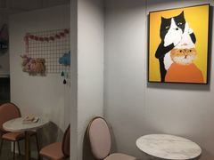 用餐区-有猫主题·治愈系猫咖(曾厝垵店)