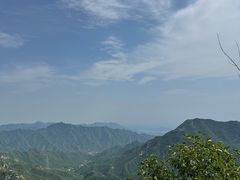 -大岭沟猕猴桃谷风景区
