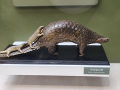 -国家自然博物馆