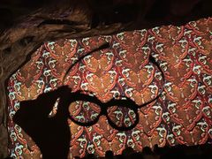 -奥兰多迪士尼动物王国乐园