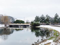 -同济大学(嘉定校区)