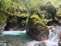 -西岭雪山大飞水景区