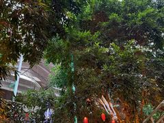 -北国之春国宴(乌兰察布店)