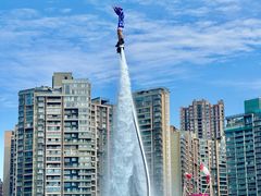 -海合安成都极地海洋公园