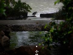 -中国茶叶博物馆(双峰馆区)