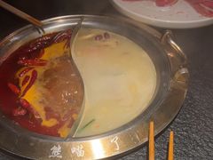 -熊喵来了火锅·牧场好肉(邯郸邯山万达店)