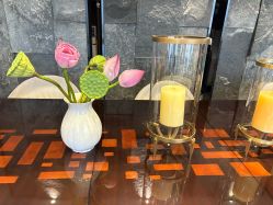 -美健盛世·美容SPA连锁