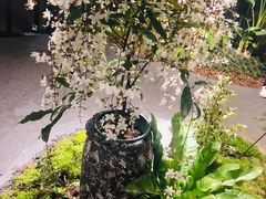 -深圳湾木棉花酒店