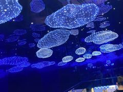 -盒马X会员店(上海森兰商都店)