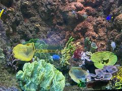 -海合安青岛极地海洋公园