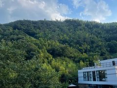 -莫干山风景区