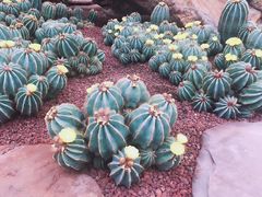 -南通洲际绿博园