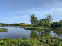-东郊湿地公园