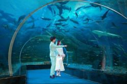 -你好晴天·目的地婚礼