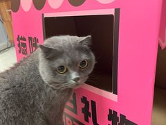 -烤匠麻辣烤鱼(环球中心店)
