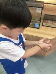 -Moni星球萌宠·小马宝莉·灵蛇·高端高阶全萌宠互动体验俱乐部(红豆国际广场店)