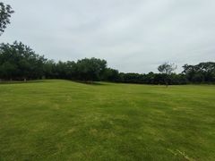 -盘龙城国家考古遗址公园