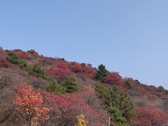 -水峪民俗村