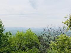 -紫金山山顶公园